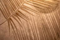 Интерьер от FAP Интерьер от FAP