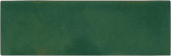 Керамогранит Bejmat Olive Gloss 5X15 См