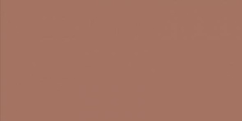 Керамогранит Solid L Cotto 12,5X25,0 См
