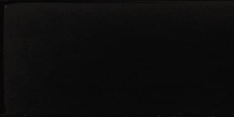 Плитка Evolution Negro Brillo 7,5x15 фото Плитка Evolution Negro Brillo 7,5x15