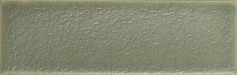 Плитка Skin Moss Matt 4X12,5 См