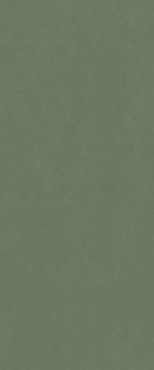 Настенная плитка Серфейс Форест Грин 50x120 Рет (600010002445) Настенная плитка Серфейс Форест Грин 50x120 Рет (600010002445)