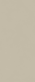 Форум Слим Дезерт 120x278 Форум Слим Дезерт 120x278