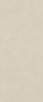 Керамогранит Ринашенте Фьюжн Филигран Лайт 120x278