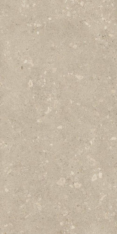 Керамогранит Ринашенте Фьюжн Аггломерейт Лайт 60x120