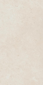 Керамогранит Фоссил Пьюр 60x120 рет. (610010004097) Керамогранит Фоссил Пьюр 60x120 рет. (610010004097)