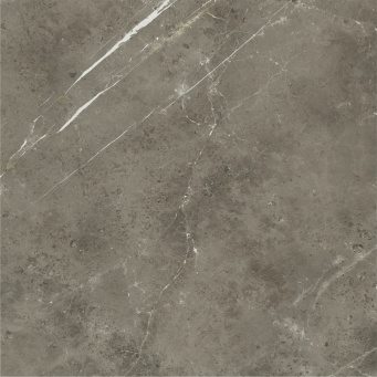 Керамогранит Стелларис Тусканиа Грэй 120x120 рет. (610010004114) Керамогранит Стелларис Тусканиа Грэй 120x120 рет. (610010004114)