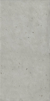 Керамогранит Авангард Сильвер 60x120 рет. Х2 (610010004134) фото Керамогранит Авангард Сильвер 60x120 рет. Х2 (610010004134)