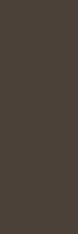 Керамогранит Basic Tabaco 100x300 3,5 (78BA-21)