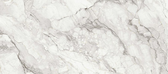 Керамогранит Camouflage Pul. 120x278 (78O138P)