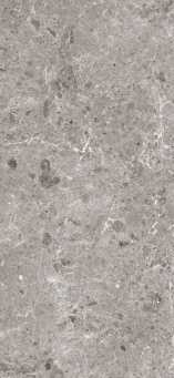 Керамогранит Artic Gris Pul.120x260 5,6 (78RC37P)