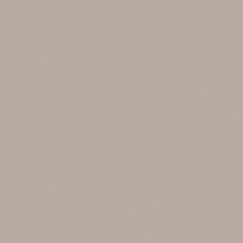 Керамогранит Basic Taupe 120x120 5,6 (80BA83E)