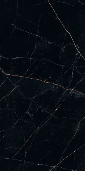Керамогранит Nero Ardi Pulido 60x120 5,6 (80NH94P)