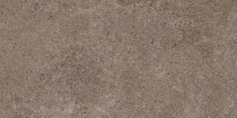 Керамогранит Porfido Brown 60x120 5,6 (80PF24E)