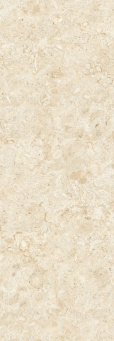 Керамогранит Coralina Blanco 120x360 5,6 (80RB41E)