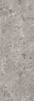 Керамогранит Artic Gris Pul.120x360 5,6 (80RC31P)
