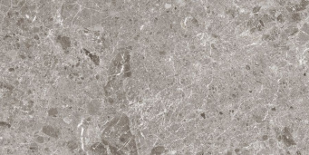 Керамогранит Artic Gris Pul. 60x120 5,6 (80RC34P)