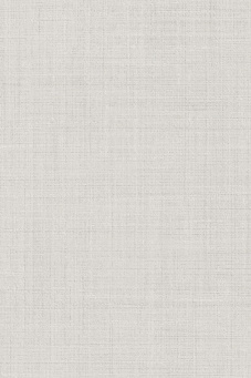 8373 Спинелли серый светлый матовый 20x30x0,69 фото 8373 Спинелли серый светлый матовый 20x30x0,69