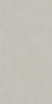 DD590800R Про Чементо серый светлый матовый обрезной 119,5x238,5x1,1 фото DD590800R Про Чементо серый светлый матовый обрезной 119,5x238,5x1,1