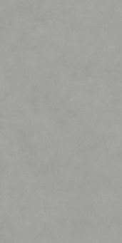 DD590900R Про Чементо серый матовый обрезной 119,5x238,5x1,1 фото DD590900R Про Чементо серый матовый обрезной 119,5x238,5x1,1