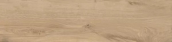 Керамогранит ELXR3012BS ASRM 30x120