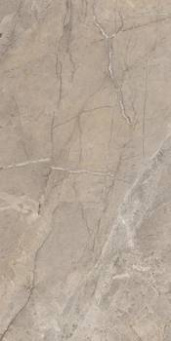 Керамогранит FIBOSC 12 RM 60x120