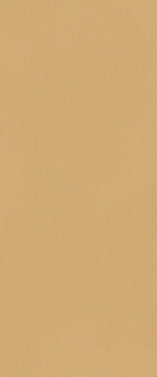 Плитка fTDS True Color Caramel 50x120 RT фото Плитка fTDS True Color Caramel 50x120 RT