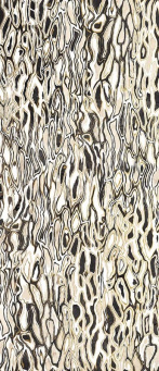 Декор GHEPARD6 278LP 120x278