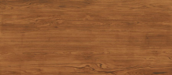 Керамогранит Log Anthology Teak 120x278 - 6mm (HGA2) Керамогранит Log Anthology Teak 120x278 - 6mm (HGA2)