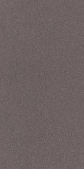 Керамогранит PRTU 36DG RM 30x60