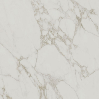 SG015600R Монте Тиберио серый светлый матовый обрезной 119,5x119,5x1,1 фото SG015600R Монте Тиберио серый светлый матовый обрезной 119,5x119,5x1,1