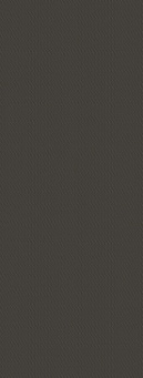 SG072000R6 Carbon 119,5x320х11 фото SG072000R6 Carbon 119,5x320х11