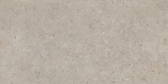SG540620R Риккарди бежевый матовый обрезной 60x119,5x0,9 фото SG540620R Риккарди бежевый матовый обрезной 60x119,5x0,9