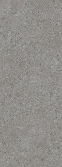 SL1232G0351R6 Surface Laboratory/Чеппо Супериор серый матовый обрезной 119,5x320x0,6 керамогранит фото SL1232G0351R6 Surface Laboratory/Чеппо Супериор серый матовый обрезной 119,5x320x0,6 керамогранит