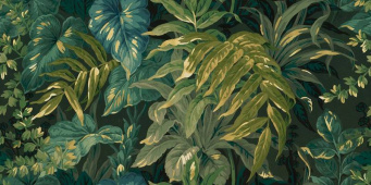 Декор TROPICALIA6 12 60x120