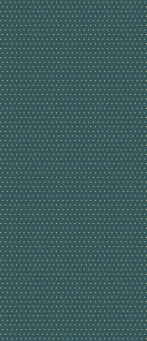 Декор VIRIDIS6 278LP 120x278