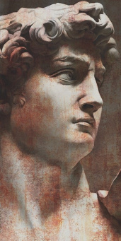 VT\A564\SG5918R Ковер Давид 1 матовый обрезной 119,5х238,5х1,1 фото VT\A564\SG5918R Ковер Давид 1 матовый обрезной 119,5х238,5х1,1