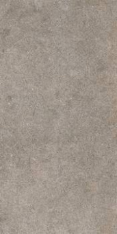 Керамогранит WALK 36TO RM 30x60
