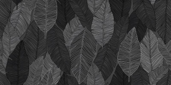 Декор XILEMA6 12 60x120