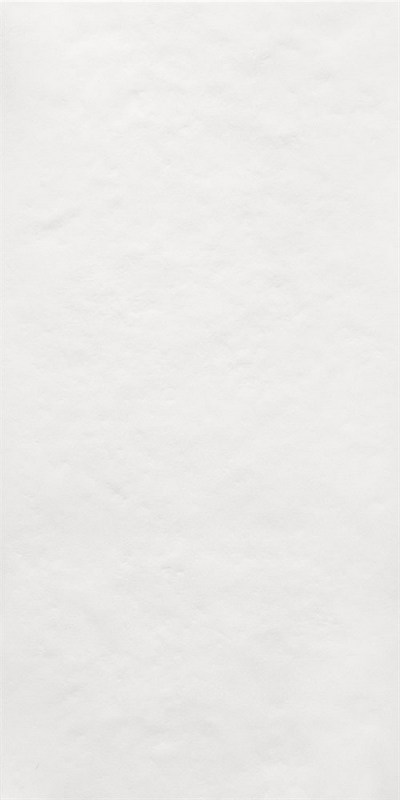 48017R Беллони белый матовый структура обрезной 40x80x1 48017R Беллони белый матовый структура обрезной 40x80x1