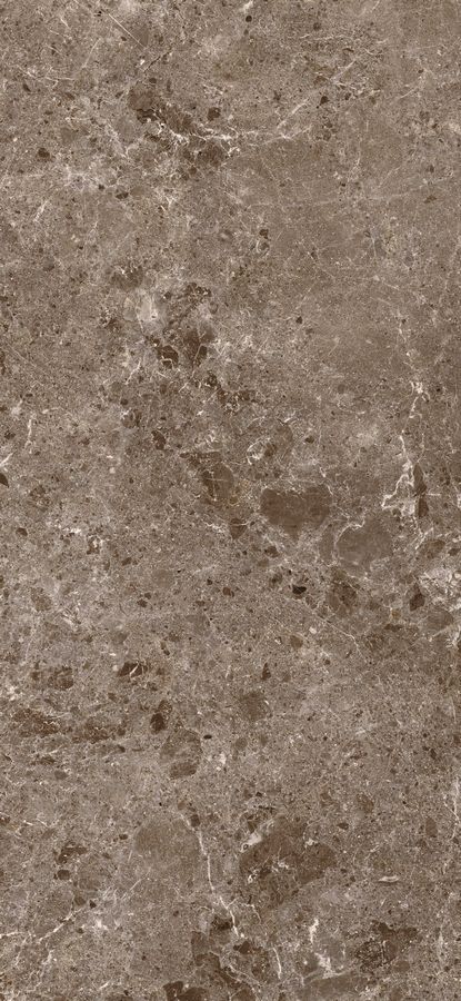 Керамогранит Artic Moka Pul.120x260 5,6 (78RC27P) Керамогранит Artic Moka Pul.120x260 5,6 (78RC27P)