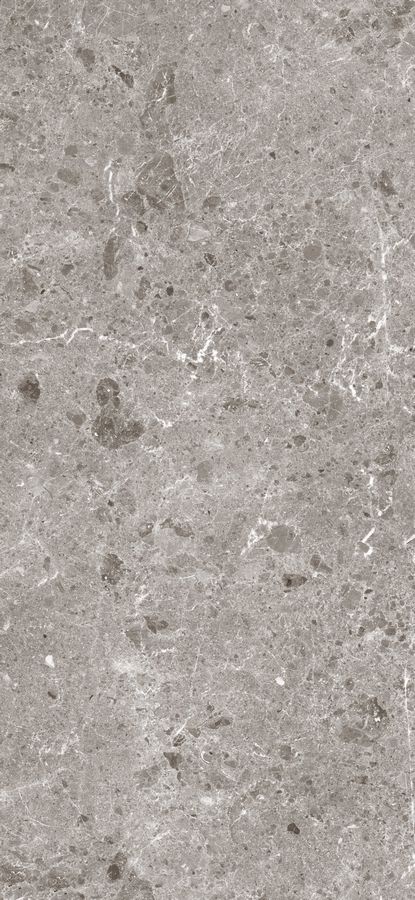 Керамогранит Artic Gris Pul.120x260 5,6 (78RC37P) Керамогранит Artic Gris Pul.120x260 5,6 (78RC37P)