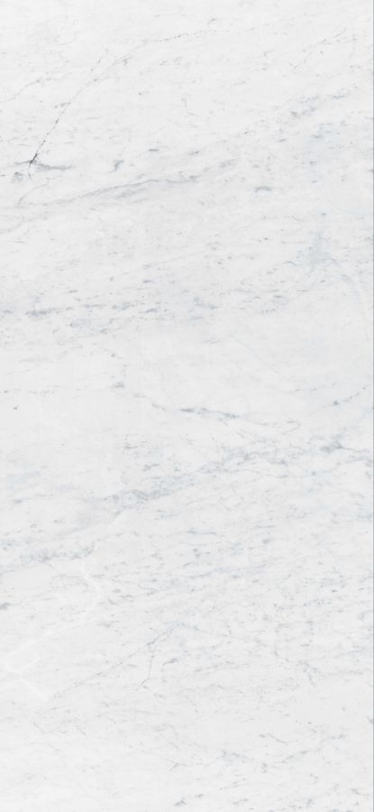 Керамогранит Carrara Pulido 120x260 5,6 (78RR47P) Керамогранит Carrara Pulido 120x260 5,6 (78RR47P)