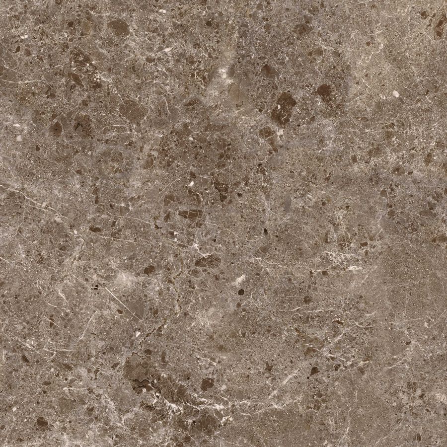 Керамогранит Artic Moka Pul.120x120 5,6 (80RC23P) Керамогранит Artic Moka Pul.120x120 5,6 (80RC23P)