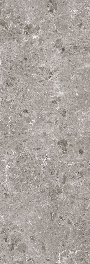 Керамогранит Artic Gris Pul.120x360 5,6 (80RC31P) Керамогранит Artic Gris Pul.120x360 5,6 (80RC31P)