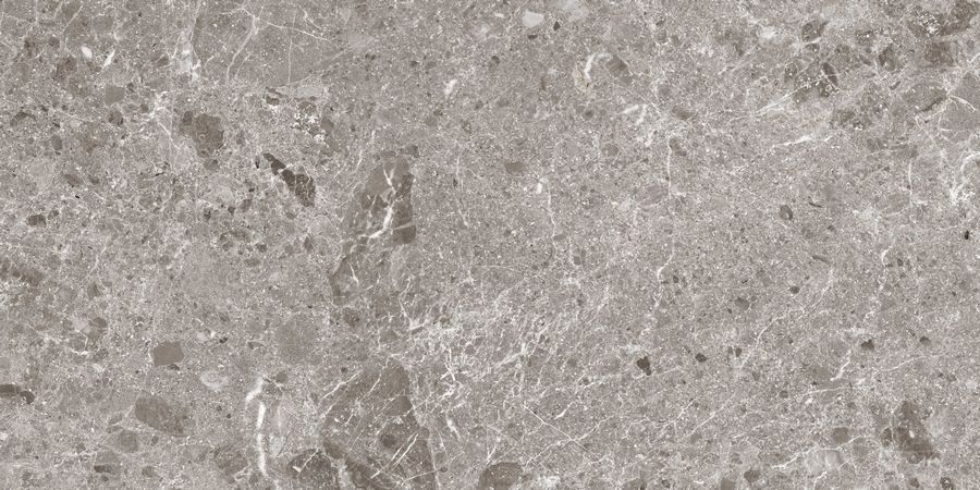 Керамогранит Artic Gris Pul. 60x120 5,6 (80RC34P) Керамогранит Artic Gris Pul. 60x120 5,6 (80RC34P)