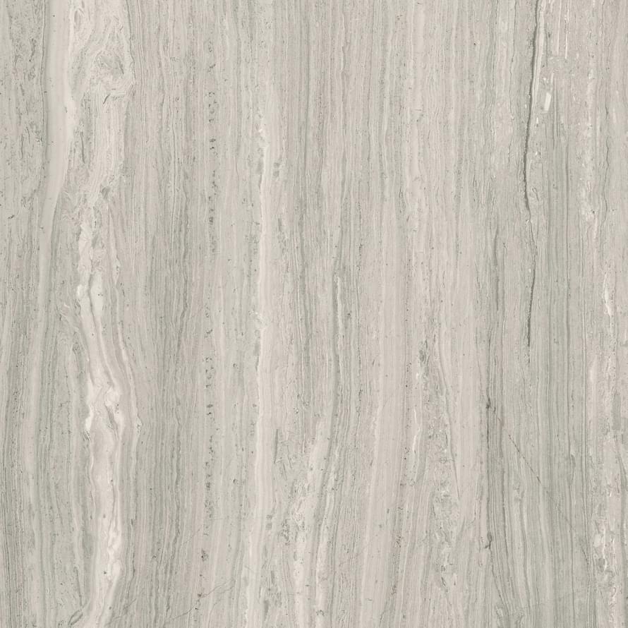 Керамогранит Silk Gris Pul. 120x120 5,6 (80SL33P) Керамогранит Silk Gris Pul. 120x120 5,6 (80SL33P)