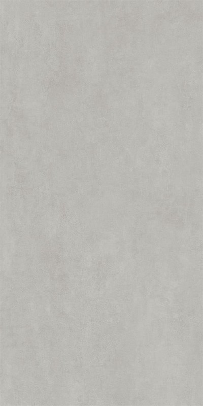 DD570190R Про Догана серый светлый матовый обрезной 80x160x0,9 DD570190R Про Догана серый светлый матовый обрезной 80x160x0,9