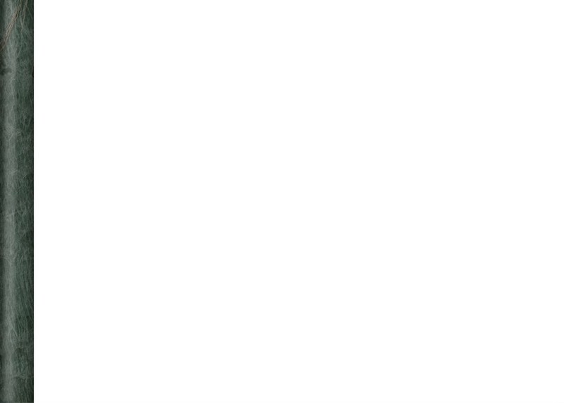 SPA054R Бордюр Эвора зеленый глянцевый обрезной 30х2,5 30x2,5x19 SPA054R Бордюр Эвора зеленый глянцевый обрезной 30х2,5 30x2,5x19