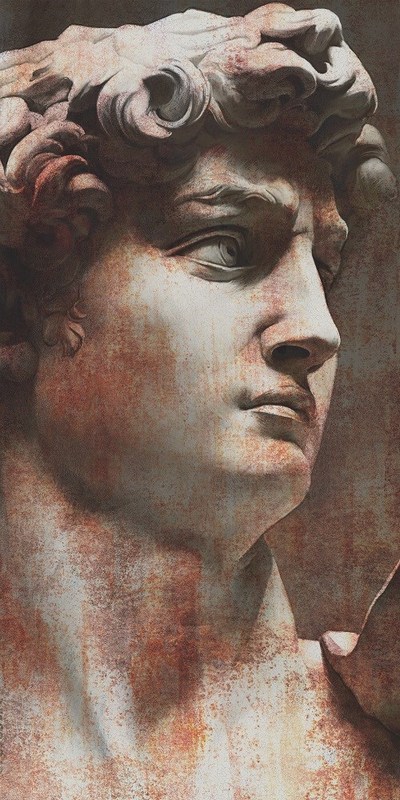 VT\A564\SG5918R Ковер Давид 1 матовый обрезной 119,5х238,5х1,1 VT\A564\SG5918R Ковер Давид 1 матовый обрезной 119,5х238,5х1,1